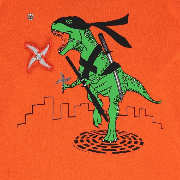 ninja-dino-t-shirt.jpg